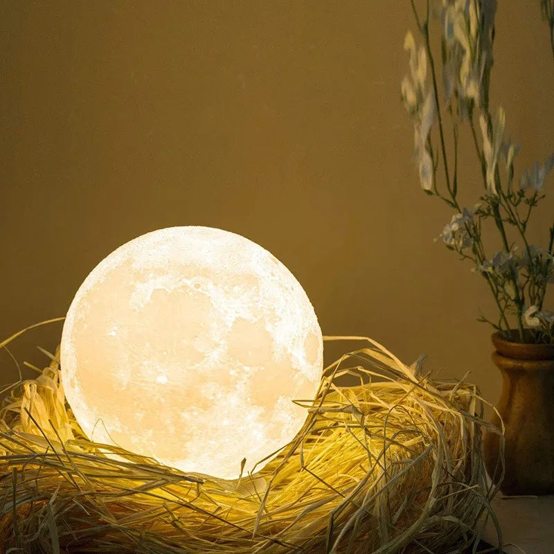 LED Night Light 3D Print Moon Lamp